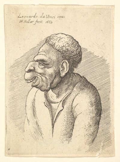Busto di un uomo con naso adunco, labbro superiore prominente, bocca aperta e capelli corti ricci, 1665 da Wenceslaus Hollar