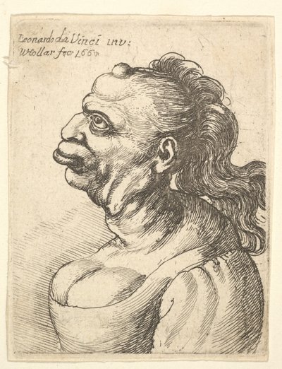 Busto di una donna con abito scollato, con labbra sporgenti, crescita sulla fronte, prominente..., 1660 da Wenceslaus Hollar