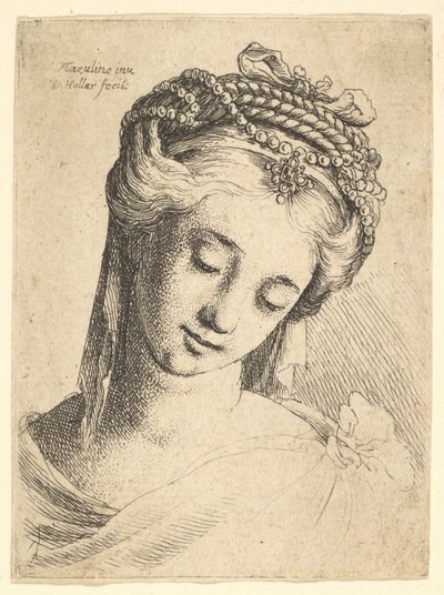 Busto di una giovane donna con elaborato copricapo, che guarda in basso da Wenceslaus Hollar