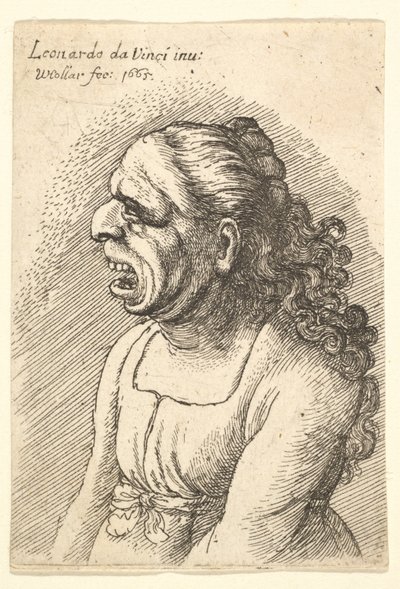 Busto di donna con bocca spalancata e lunghi capelli ricci che cadono sulle spalle, 1665 da Wenceslaus Hollar