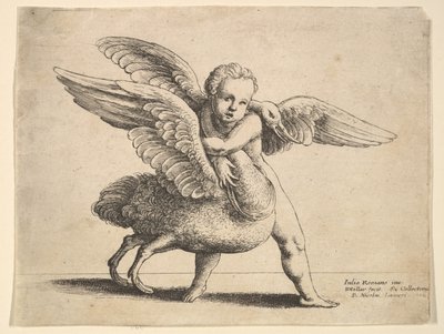 Cupido e il cigno, 1652 da Wenceslaus Hollar