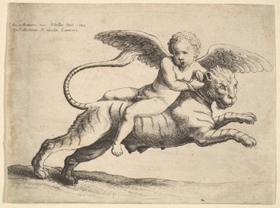 Cupido su una tigre, 1652 da Wenceslaus Hollar