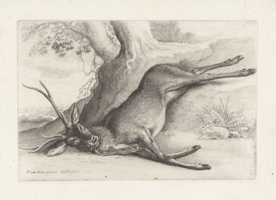Cervo ucciso (serie: Jacht, jachthonden en wild) da Wenceslaus Hollar