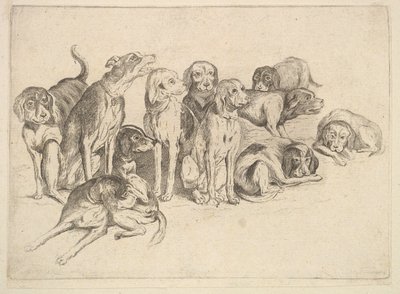 Undici cani da Wenceslaus Hollar
