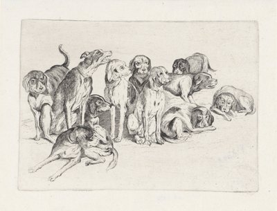 Undici cani da caccia da Wenceslaus Hollar