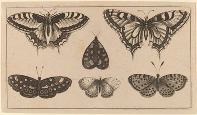 Cinque farfalle e una falena da Wenceslaus Hollar