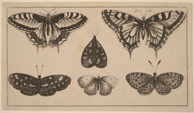  da Wenceslaus Hollar