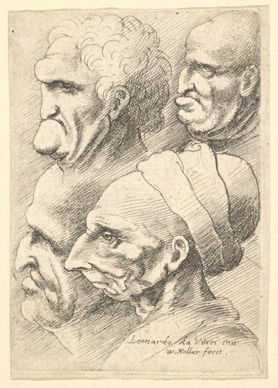 Quattro teste grottesche di profilo a sinistra da Wenceslaus Hollar