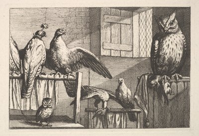 Falchi e Gufi da Wenceslaus Hollar