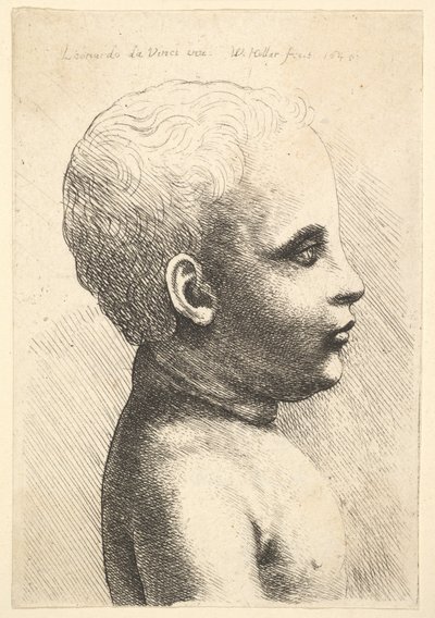 Testa e spalle di un bambino, di profilo a destra, 1645 da Wenceslaus Hollar