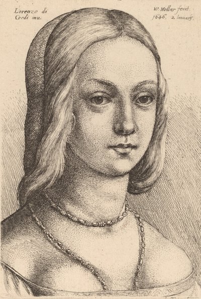 Testa di donna che guarda a destra da Wenceslaus Hollar