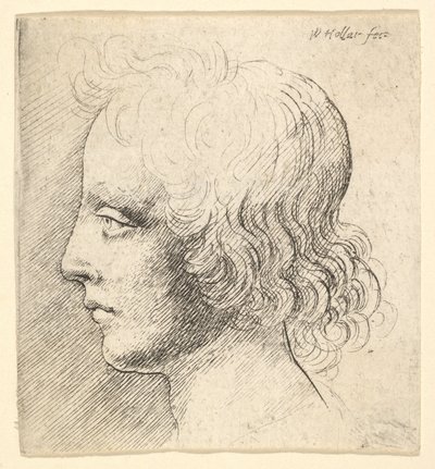  da Wenceslaus Hollar