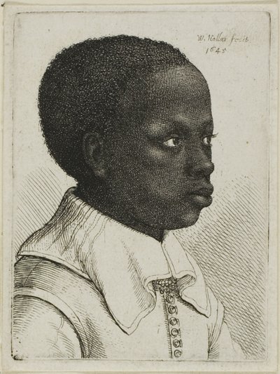 Testa di un giovane ragazzo nero di profilo a destra da Wenceslaus Hollar