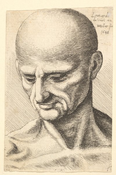 Testa di un uomo calvo e muscoloso che guarda verso il basso, 1648 da Wenceslaus Hollar