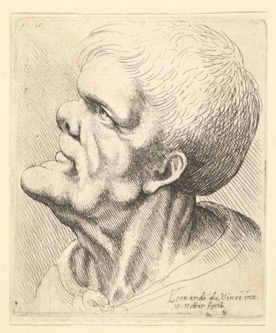 Testa di un uomo con mento sporgente e naso schiacciato che guarda in alto in profilo a sinistra, 1625-77 da Wenceslaus Hollar
