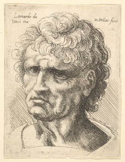 Testa di un uomo con espressione seria, 1625-77 da Wenceslaus Hollar