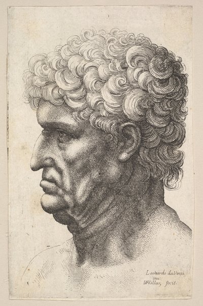 Testa di un uomo con capelli ricci folti di profilo a sinistra, 1640-49 da Wenceslaus Hollar