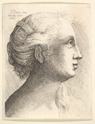 Testa di una giovane donna di profilo a destra da Wenceslaus Hollar