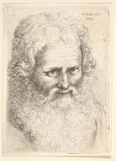 Testa di un vecchio con una grande barba, 1645 da Wenceslaus Hollar