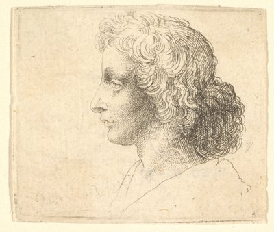 Testa di giovane uomo con capelli lunghi di profilo a sinistra, 1644-52 da Wenceslaus Hollar