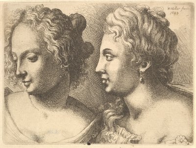 Teste di due giovani donne da Wenceslaus Hollar