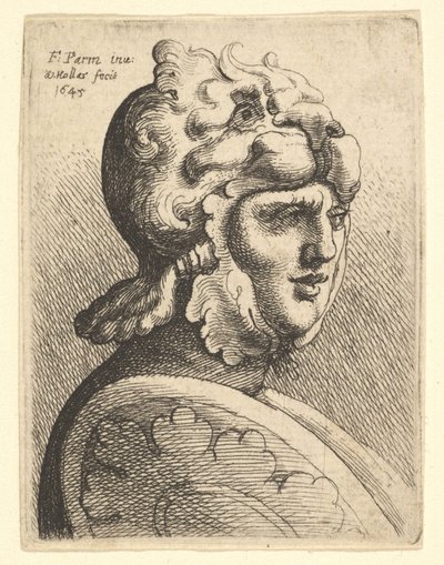 Testa con elmo da Wenceslaus Hollar
