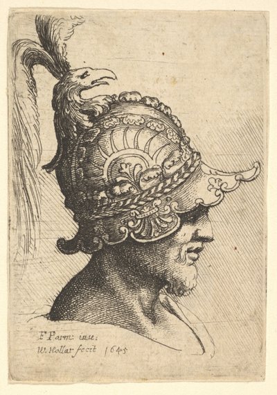 Testa con Elmo con Cresta a Testa di Uccello, 1645 da Wenceslaus Hollar