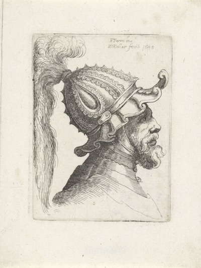 Testa di un uomo con elmo piumato da Wenceslaus Hollar