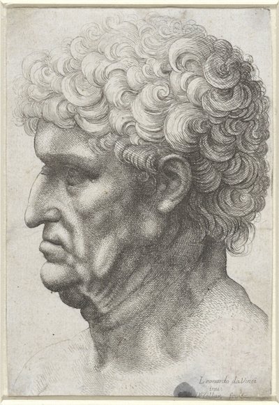 Testa di uomo con capelli ricci, di profilo da Wenceslaus Hollar
