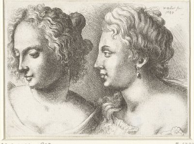 Teste di due giovani donne da Wenceslaus Hollar