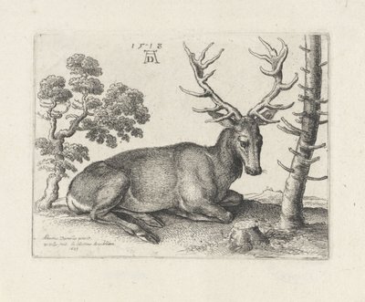 Cervo sdraiato, verso destra da Wenceslaus Hollar