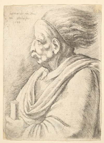 Uomo con caratteristiche caricaturali e capelli che fluttuano dietro, a mezzo busto a sinistra, 1648 da Wenceslaus Hollar