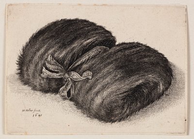  da Wenceslaus Hollar