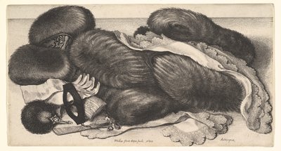  da Wenceslaus Hollar