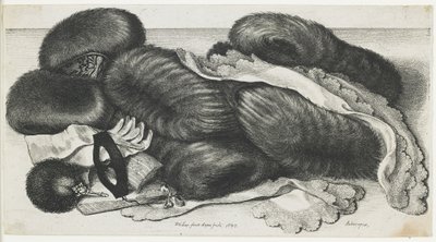 Manicotti e articoli di abbigliamento su un tavolo, 1647 da Wenceslaus Hollar
