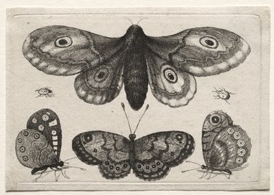  da Wenceslaus Hollar