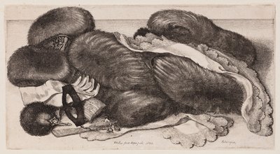  da Wenceslaus Hollar