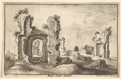 Palazzo Palatino, Roma, 1650 da Wenceslaus Hollar