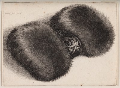  da Wenceslaus Hollar