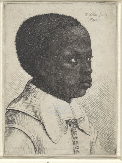 Ritratto di un ragazzo nero, 1645 da Wenceslaus Hollar