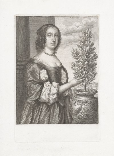 Ritratto di una donna in piedi accanto a una pianta di alloro da Wenceslaus Hollar