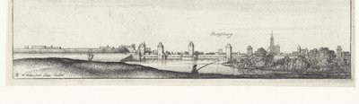 Paesaggio fluviale con vista su Strasburgo da Wenceslaus Hollar