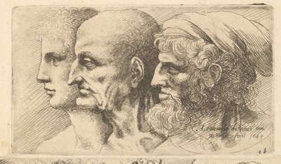Fila di tre teste di profilo a sinistra da Wenceslaus Hollar