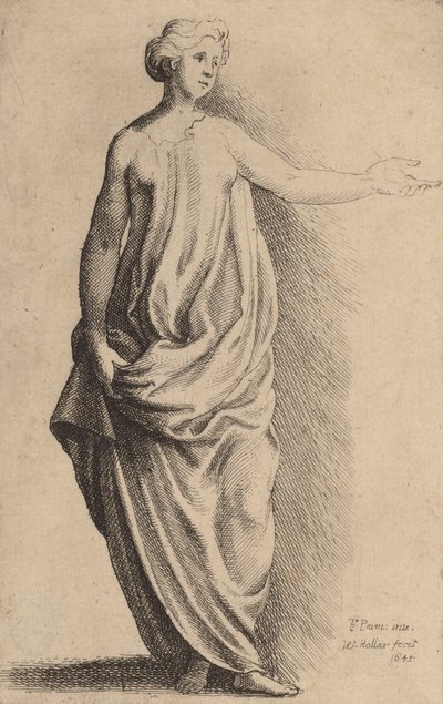 Figura in piedi da Wenceslaus Hollar