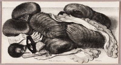 Natura morta con un gruppo di manicotti, un paio di guanti e due fazzoletti da Wenceslaus Hollar