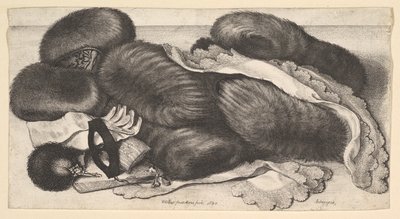 Natura morta con un gruppo di manicotti, un paio di guanti, ventagli, maschera e due fazzoletti da Wenceslaus Hollar