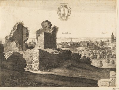 Grande prospettiva di Praga da Wenceslaus Hollar