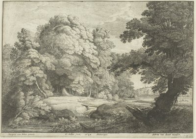 Il ponte sulla cascata da Wenceslaus Hollar