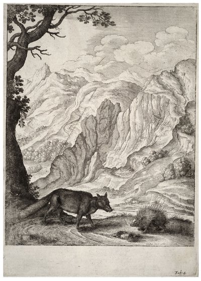 La volpe e il porcospino da Wenceslaus Hollar