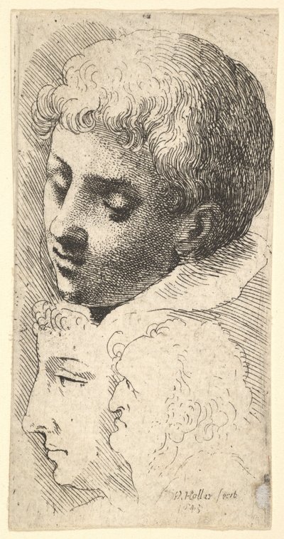 Tre teste, 1645 da Wenceslaus Hollar